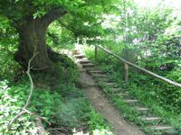 Landgraben Treppenabstieg